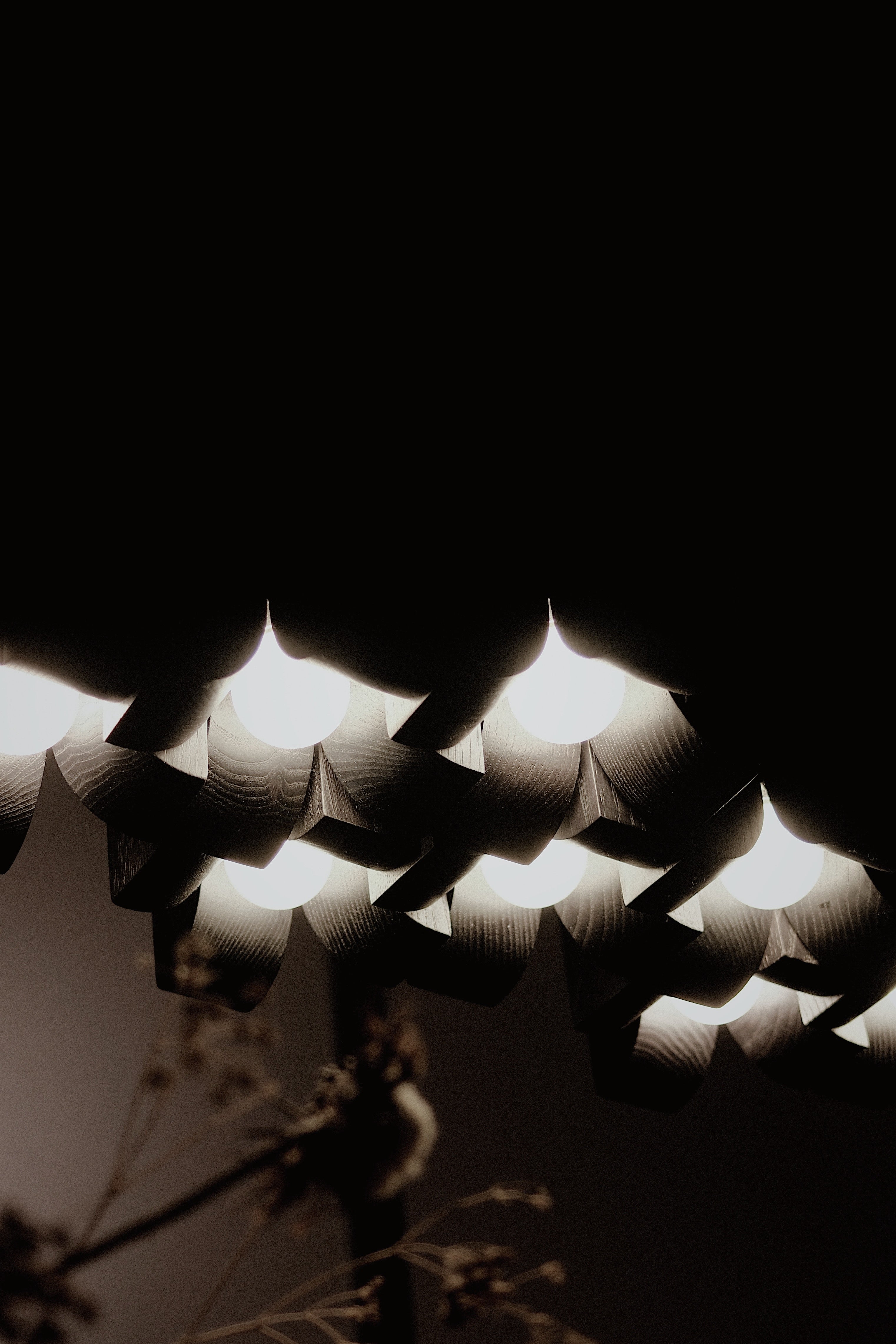 NATURA Flower Spotlight